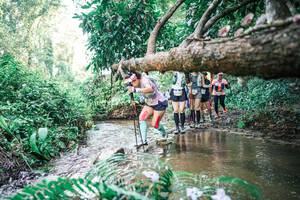 BIB: 
                            <button type="button" onclick="openModal(25477611)" class="btn btn-primary btn-sm float-right btn-popup" data-toggle="modal" data-target=".modal-high-quality">
                        <i class="fas fa-shopping-cart"></i> Add to Cart
                    </button>
                                            <button type="button" onclick="isThisMe(25477611, true)" class="btn btn-success btn-sm float-right btn-popup btn-isme hidden" data-toggle="tooltip" data-placement="bottom" title="นี่คือรูปของคุณใช่ไหม คลิกที่นี่เพื่อเอาเข้าอัลบั้ม">
                        <i class="fas fa-plus"></i> Add to album
                    </button>
                    <button type="button" onclick="isThisMe(25477611, false)" class="btn btn-warning btn-sm float-right btn-popup btn-isnotme hidden">
                        <i class="fas fa-ban"></i> Remove from album
                    </button>